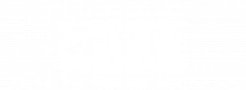 SPDTSS